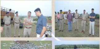 મોરબી જીલ્લામાં ૭૦ ગુન્હામાં ઝડપાયેલ દારૂ તથા બીયરના જથ્થા પર ફર્યું બુલડોઝર