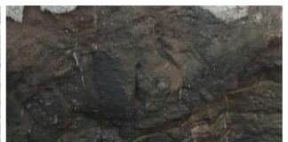 ટંકારા પાસે ૬૦ ફૂટ ઊંડા કૂવામાંથી સગીરના મૃતદેહને મોરબી ફાયર ટીમે બહાર કાઢ્યો