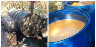 માળીયાના ખીરઇ ગામે દેશી દારૂની બે ભઠ્ઠીઓ પર પોલીસના દરોડા, ૬૨૦૦ લીટર આથો અને ૩૬૫ લીટર દારૂ ઝડપાયો