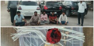 મોરબીના ખેડૂતને હનીટ્રેપમાં ફસાવનાર ટોળકીના પાંચ આરોપીઓને પકડી લેતી એ ડિવિઝન પોલીસ