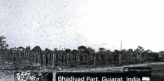 મોરબી મનપા દ્વારા શહેરને હરિયાળું અને આકર્ષક બનાવવા સક્રિય