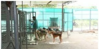 મોરબીમાં અંદાજે ૪૫ કરોડના ખર્ચે પાંચ નવા ફાયર સ્ટેશનો બનાવવાની પ્રક્રિયા શરૂ.