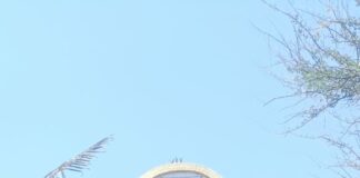 નવલખીમાં ૧૧ એપ્રિલે પાટાવાળી મેલડી માતાજીનો નવરંગો માંડવો અને મહાપ્રસાદનું આયોજન