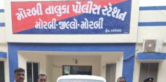 ઘુંટુ ગામે મોબાઇલ ટાવર ઉપરથી અંજના કાર્ડ સહિતની ચોરીનો ભેદ ઉકેલાયો, ત્રણ શખ્સોની ધરપકડ