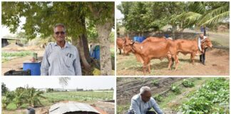 મોરબીના ખેડૂતની અનોખી પહેલ: ‘સારું ખાવું અને સારું ખવડાવવું’ ના સંકલ્પ સાથે કરી ગૌ આધારિત સમૂહ પ્રાકૃતિક ખેતી